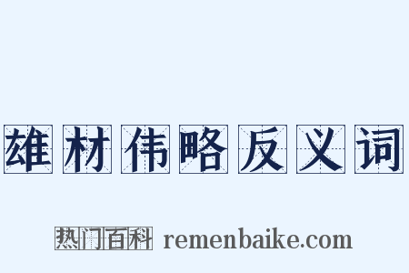 雄材伟略反义词是什么意思的图片